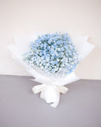 Pastel Dream | Coloured Baby’s Breath Bouquet