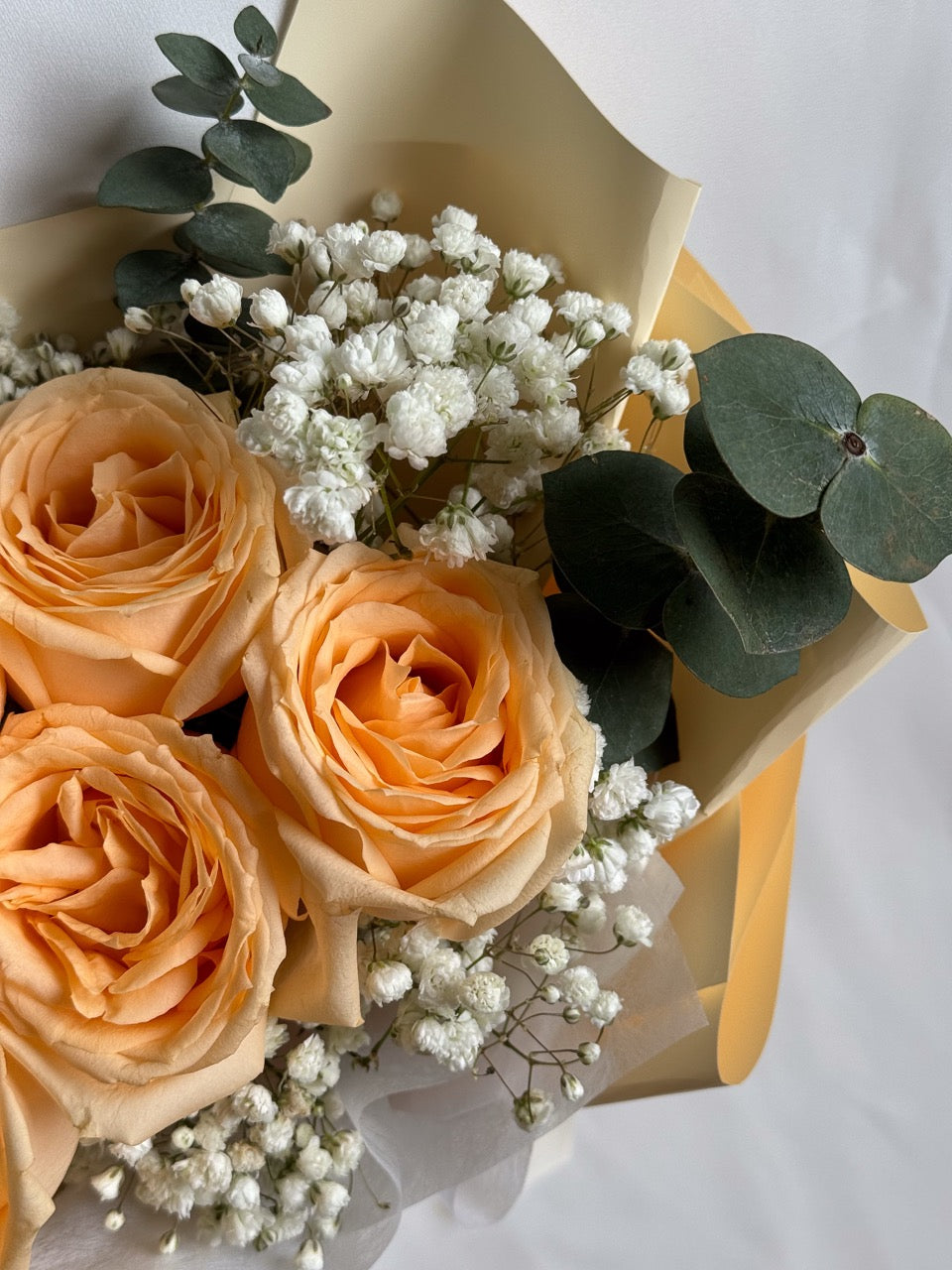 Timeless | Champagne Rose & Baby's Breath Bouquet