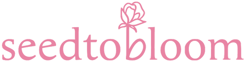 Seed To Bloom 